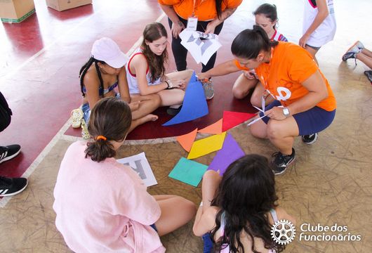 Descrição da Imagem 1