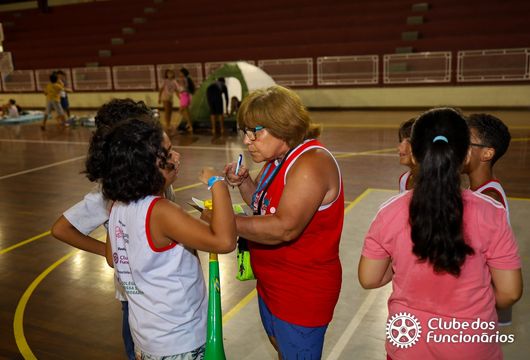 Descrição da Imagem 1