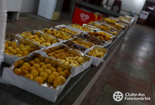 Descrição da Imagem 1