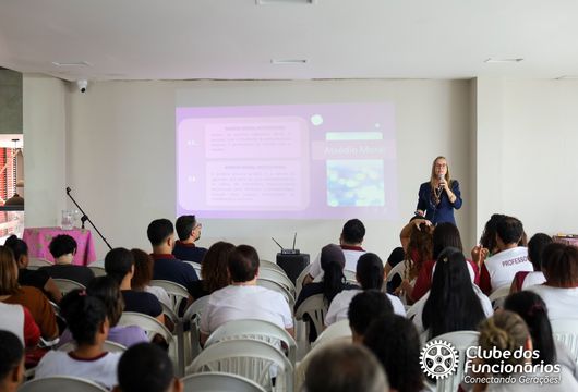 Descrição da Imagem 1