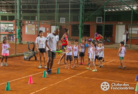 Descrição da Imagem 1