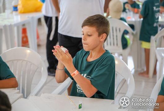 Descrição da Imagem 1