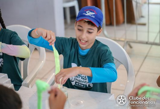 Descrição da Imagem 1