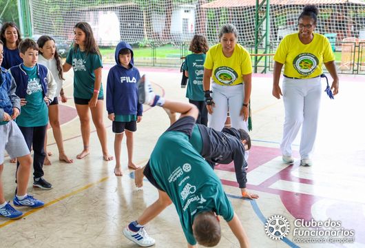 Descrição da Imagem 1