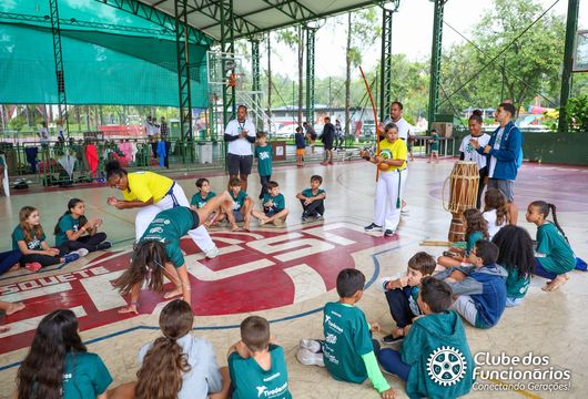 Descrição da Imagem 1