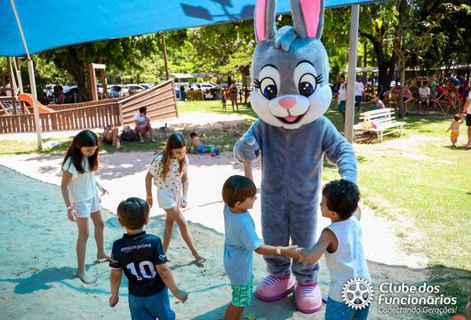 Descrição da Imagem 1