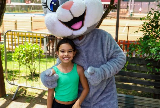 Descrição da Imagem 1