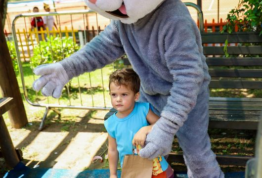 Descrição da Imagem 1