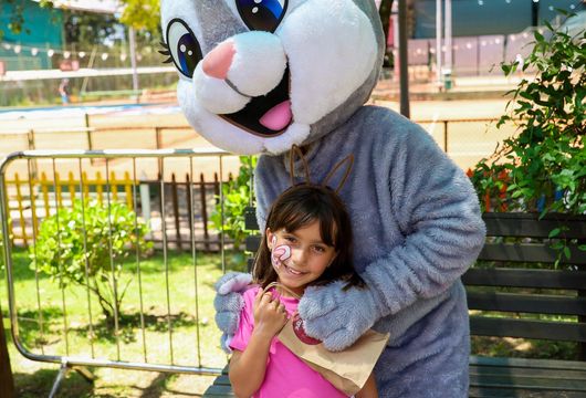 Descrição da Imagem 1