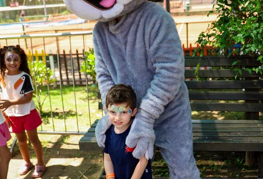 Descrição da Imagem 1