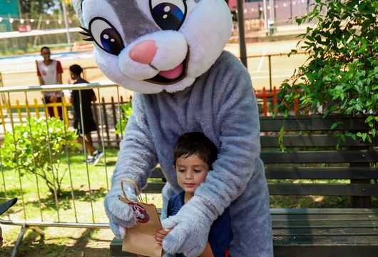 Descrição da Imagem 1