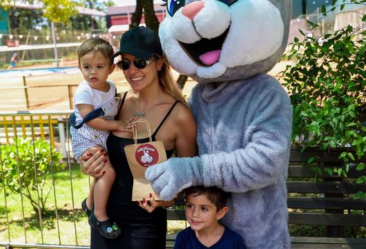 Descrição da Imagem 1