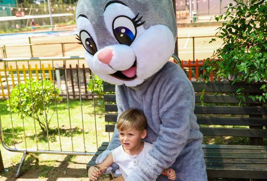 Descrição da Imagem 1