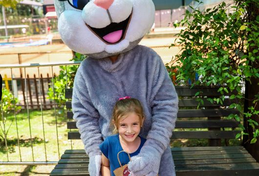 Descrição da Imagem 1