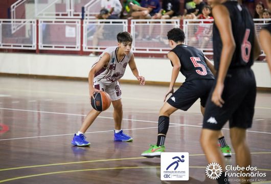 Descrição da Imagem 1