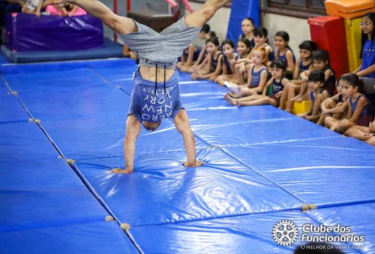 Descrição da Imagem 1