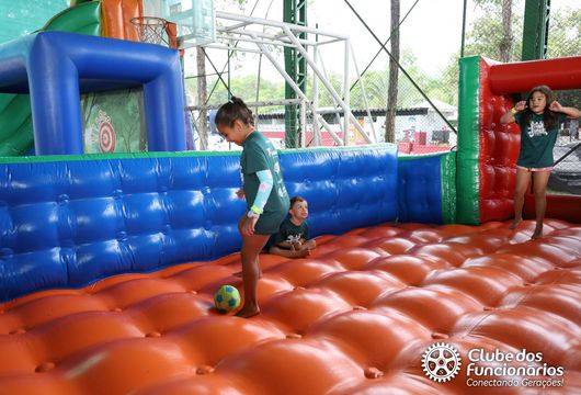 Descrição da Imagem 1