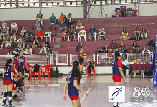 Descrição da Imagem 1