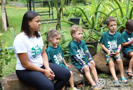 Descrição da Imagem 1