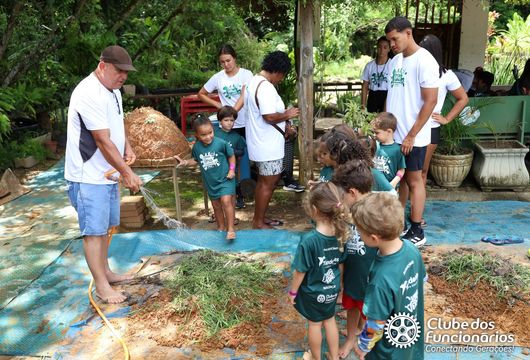 Descrição da Imagem 1