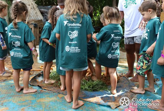 Descrição da Imagem 1