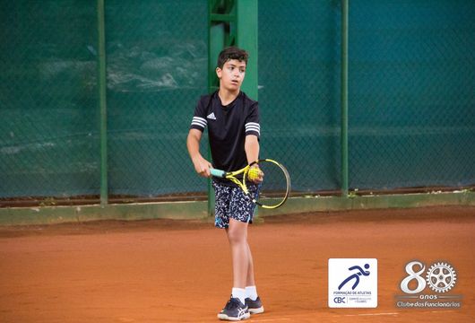 Descrição da Imagem 1