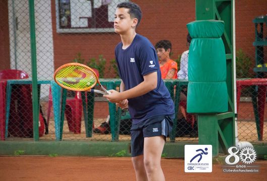 Descrição da Imagem 1