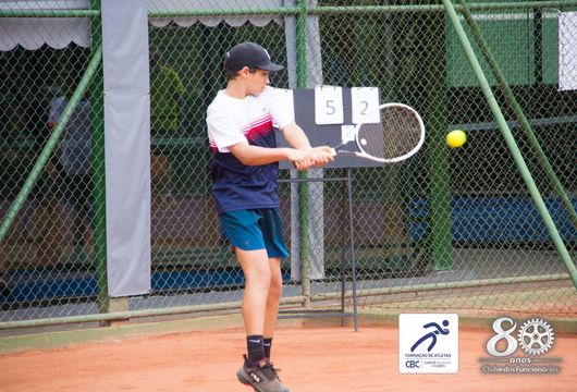 Descrição da Imagem 1