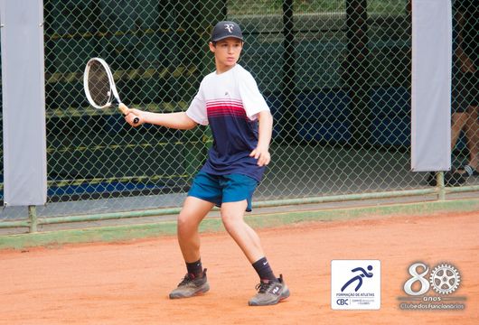 Descrição da Imagem 1