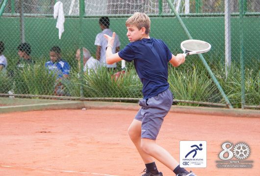 Descrição da Imagem 1