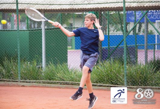 Descrição da Imagem 1