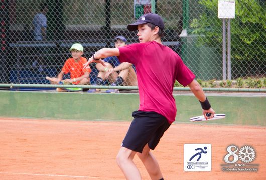 Descrição da Imagem 1