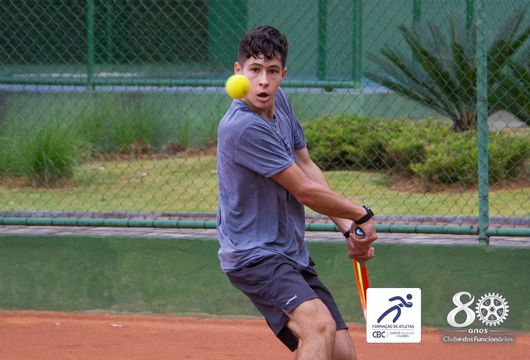 Descrição da Imagem 1