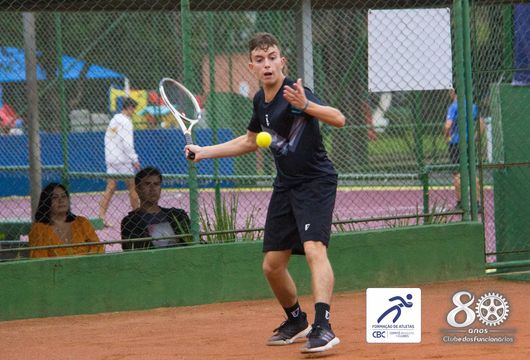 Descrição da Imagem 1