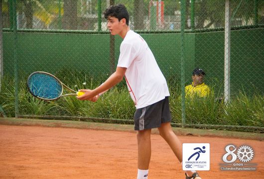 Descrição da Imagem 1