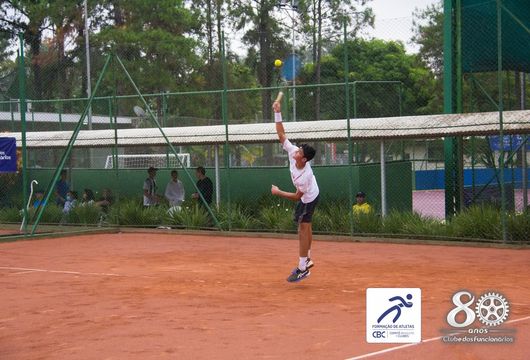 Descrição da Imagem 1