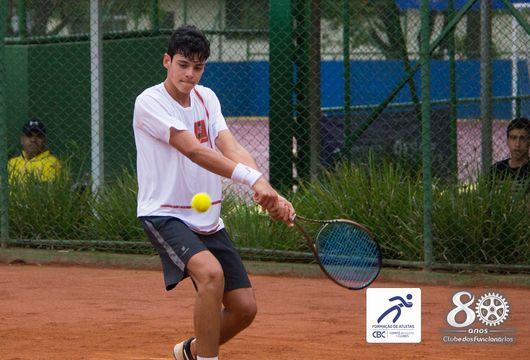 Descrição da Imagem 1