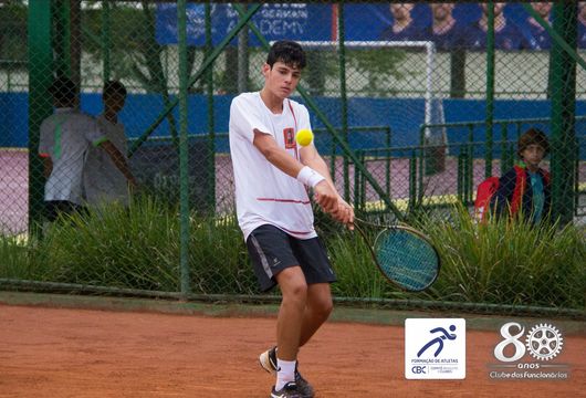 Descrição da Imagem 1