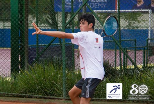 Descrição da Imagem 1