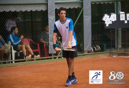 Descrição da Imagem 1