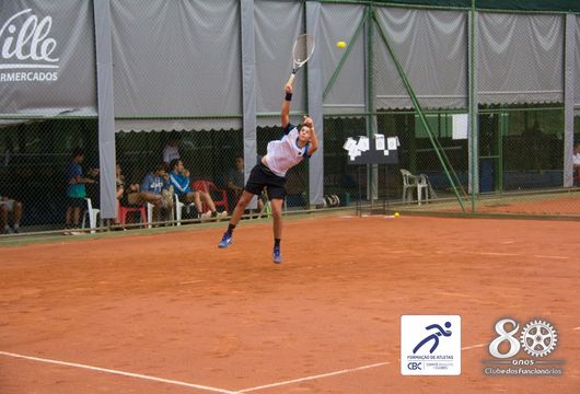 Descrição da Imagem 1