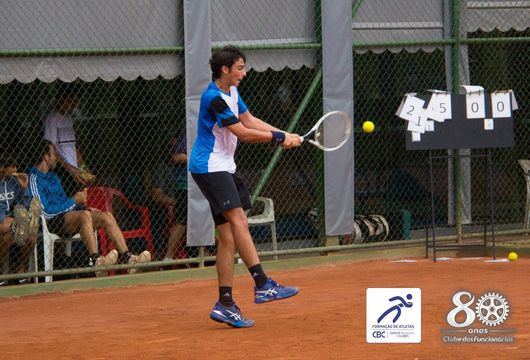 Descrição da Imagem 1