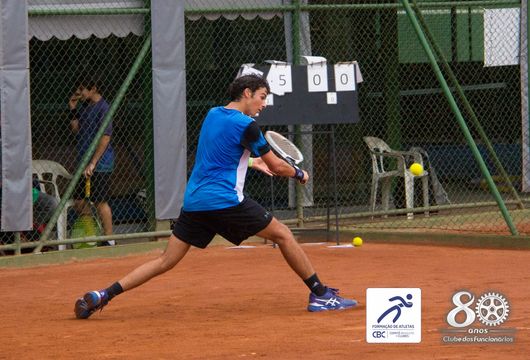 Descrição da Imagem 1