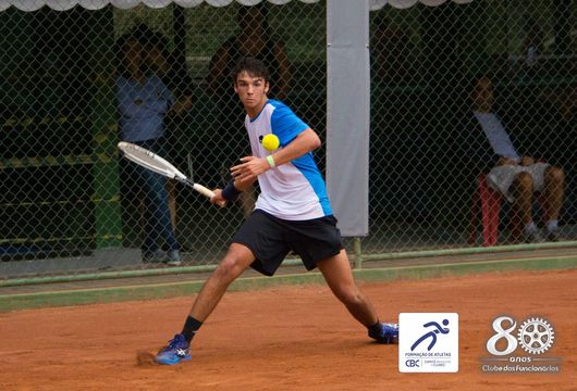 Descrição da Imagem 1