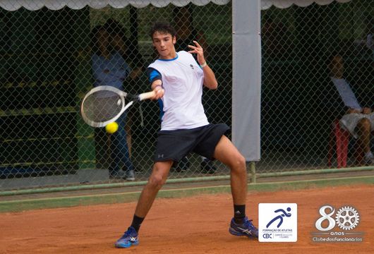 Descrição da Imagem 1