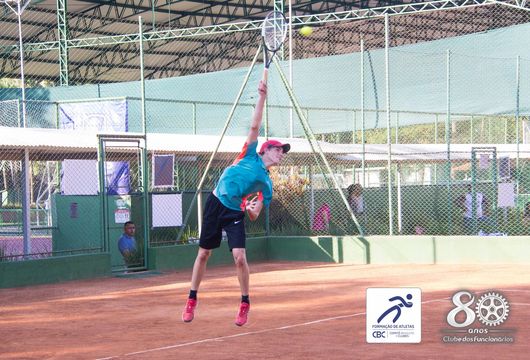 Descrição da Imagem 1