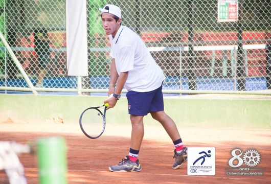 Descrição da Imagem 1