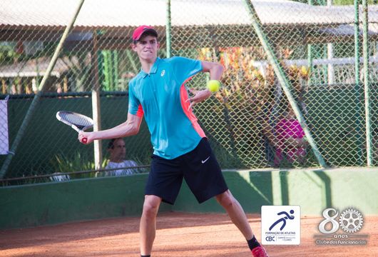 Descrição da Imagem 1