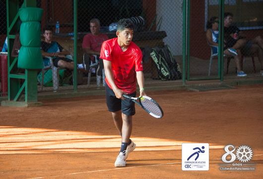 Descrição da Imagem 1