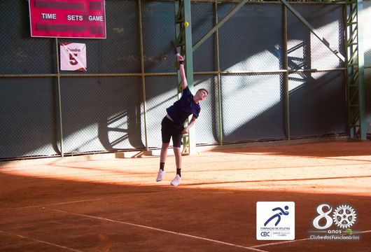 Descrição da Imagem 1